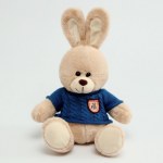 Мягкая игрушка «Заяц», в свитере, МИКС