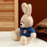 Мягкая игрушка «Заяц», в свитере, МИКС
