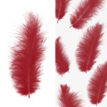 Перья Премиум, Красные