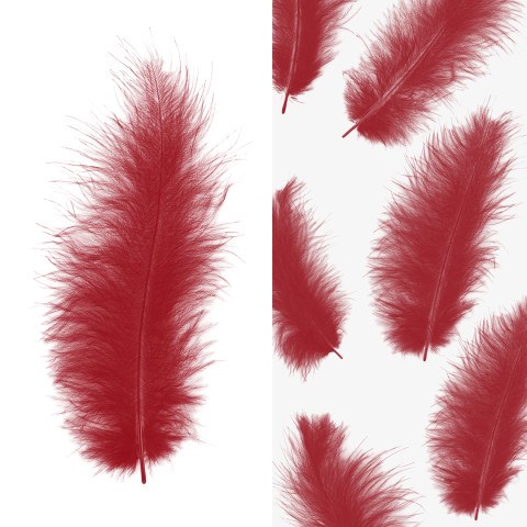 Перья Премиум, Красные