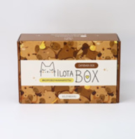 Подарочный набор Милотабокс "Capybara Box" Капибара
