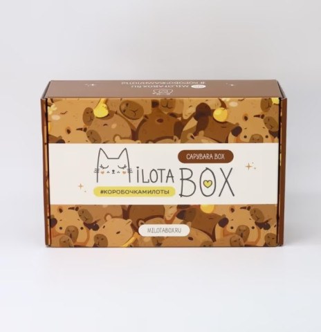 Подарочный набор Милотабокс "Capybara Box" Капибара