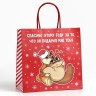 Пакет подарочный новогодний «Спасибо этому году» #нг