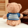 Мягкая игрушка «Медведь» в полосатой кофте, цвет МИКС