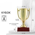 Кубок 056, наградная фигура, золото, подставка пластик