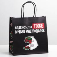 Пакет подарочный новогодний «Надеюсь ты тоже купил мне подарок»