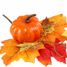 Ветка осенняя с тыквой