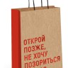 Пакет крафт "Открой позже...", фольга