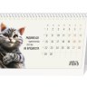 Календарь настольный домик Я - кот. Мне можно.