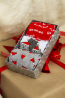 Носки набор в подарочной упаковке "Рождество и котики" женские