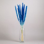 Сухоцвет Пушистая пампасная трава, высушенная, голубой