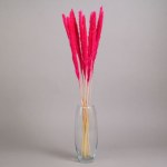 Сухоцвет Пушистая пампасная трава высушенная, розовый