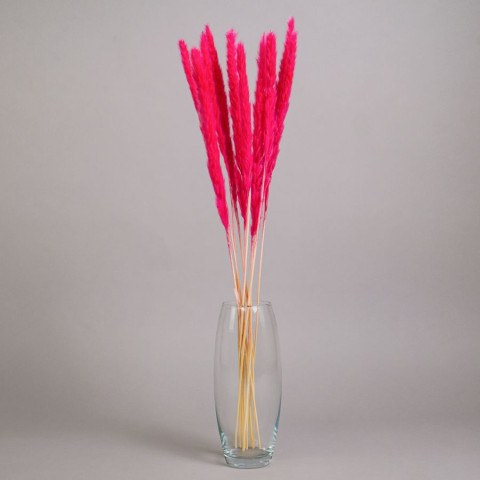 Сухоцвет Пушистая пампасная трава высушенная, розовый