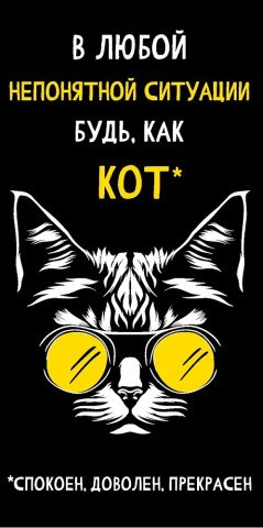 Конверт для денег, В любой непонятной ситуации будь, как кот