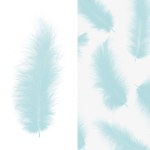 Перья Премиум, Бирюзовый