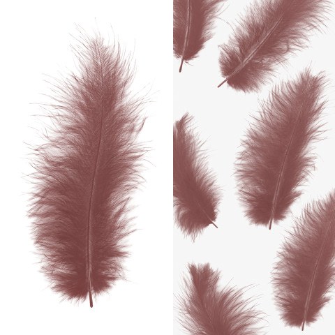 Перья, Премиум, Ретро Какао