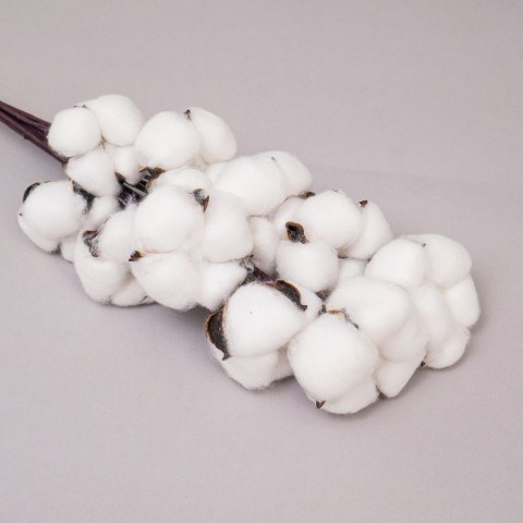 Хлопок, белый