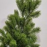 Ветка еловая новогодняя без декора, светло-зеленый