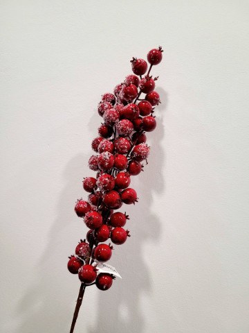 Ветка с засахаренными крупными ягодами