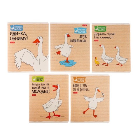 Тетрадь 48 листов в клетку «Гусь-веселюсь №2», обложка мелованный картон, МИКС