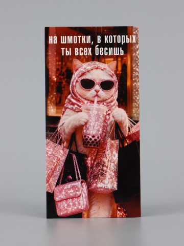 Конверт для денег «На шмотки», Кошечка