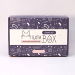 Подарочный набор Милотабокс "Cosmos Box" Космос