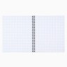 Тетрадь в клетку на спирали, 48 л., «Корги» МИКС