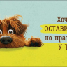Конверт для денег "Хочется оставить себе…", Собака