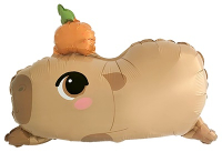 FM Фигура, Капибара