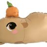 FM Фигура, Капибара