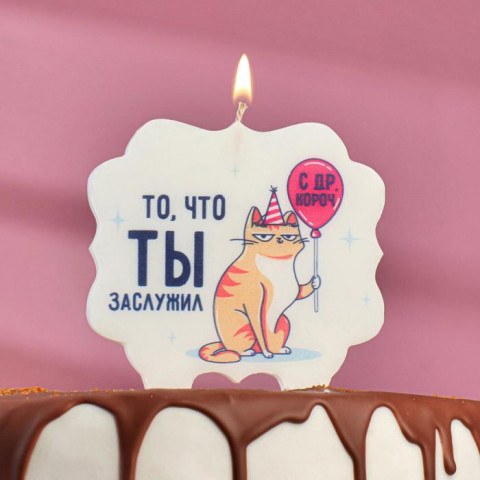 Свеча для торта «То, что ты заслужил. Кот с шариком»