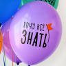 BB Шары Я люблю Школу!, пастель