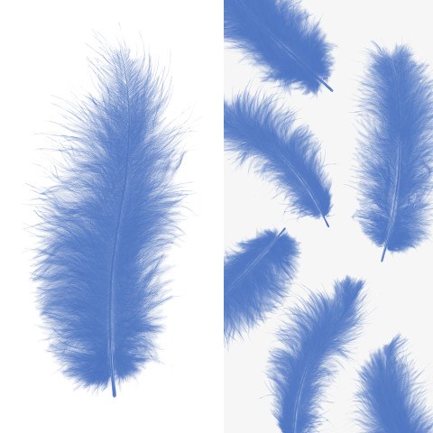 Перья Премиум, Небесно-голубой