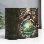 Шкатулка-книга "Дракон" , МИКС