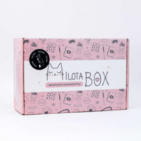 Подарочный набор Милотабокс "Fox Box"