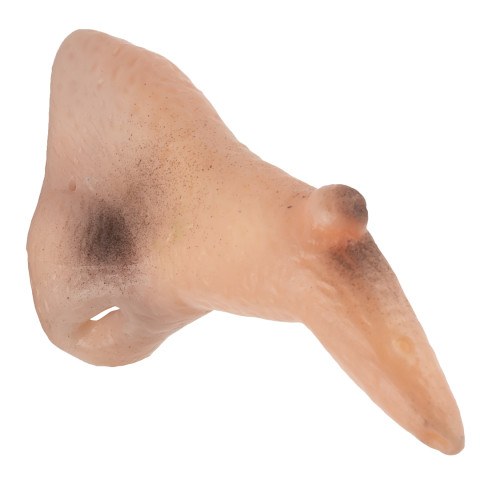 Нос Ведьмы