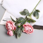 Цветы искусственные «Пион Эльза», розовые