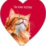 Набор мини-открыток валентинка Ты как котик