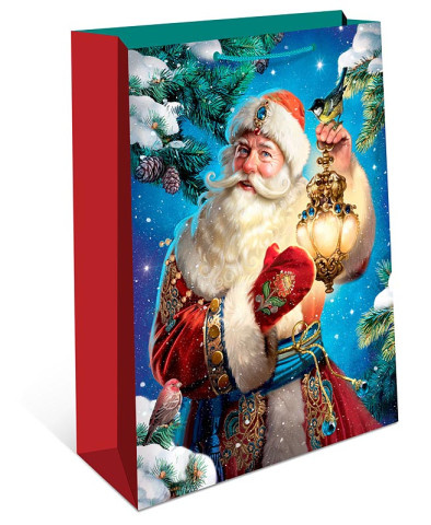 Пакет подарочный Новогодний волшебник #нг
