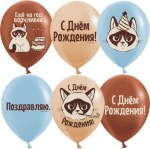 DB Шары С Днем Рождения! (сердитая кошка), Ассорти, пастель