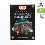 Книга-квест «Загадка подземного лабиринта» версия 2, 8+