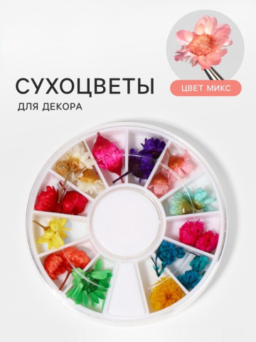 Сухоцветы для декора «Ромашки», объёмные, 12 видов, в футляре, разноцветные