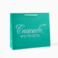 Пакет подарочный «Спасибо, что ты есть», голография