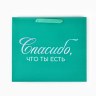 Пакет подарочный «Спасибо, что ты есть», голография