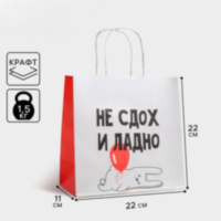 Пакет подарочный «И ладно»