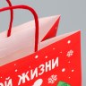 Пакет подарочный новогодний крафтовый «Что-то на богатом» #нг