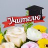 Топпер, Учителю (шапочка выпускника), Красный/Белый