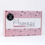 Подарочный набор Милотабокс "Plush Box" Плюшевый