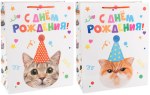 Пакет подарочный, Котенок в колпачке, Лаковый