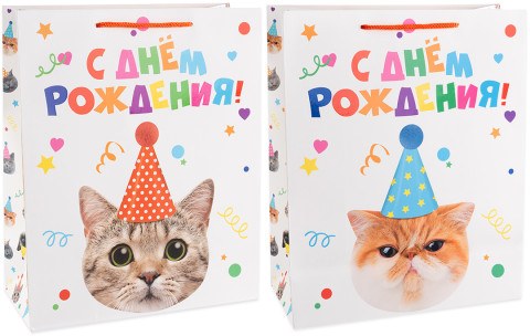 Пакет подарочный, Котенок в колпачке, Лаковый